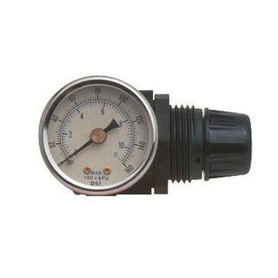 MOTOR GUARD 04049 Mini Regulator with Gauge, 1/4 in NPT, Use With: HVLP Spray Gun